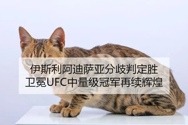伊斯利阿迪萨亚分歧判定胜 卫冕UFC中量级冠军再续辉煌