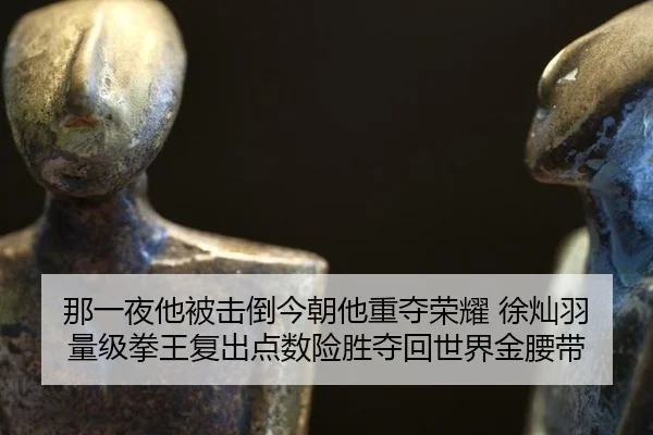 那一夜他被击倒今朝他重夺荣耀 徐灿羽量级拳王复出点数险胜夺回世界金腰带