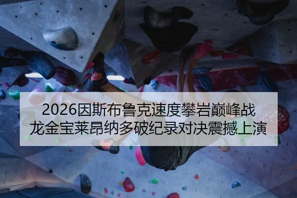 yin-si-bu-lu-ke-su-du-pan-yan-dian-feng-zhan-long-jin-bao-lai-ang-na-duo-po-ji-lu-dui-jue-zhen-han-shang-yan-2-352.jpg